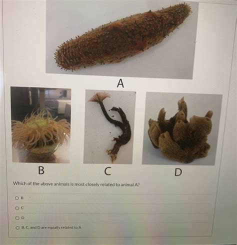 Solved Which of the following characters are associated | Chegg.com