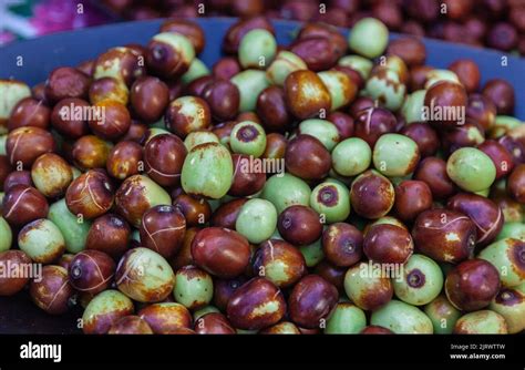 Selective Focus On Fresh Jujube Fruits The Pile Of Jujube Close Up