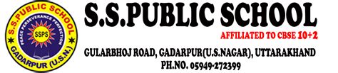 Sspublic School