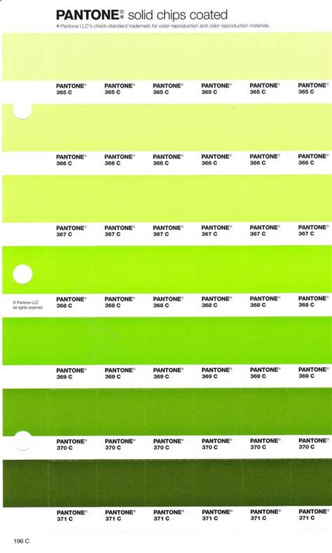 Pantone Pms Solid Chips Vervangingspagina Op Coated Papier 196c