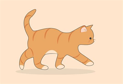 Walking Cat Animation