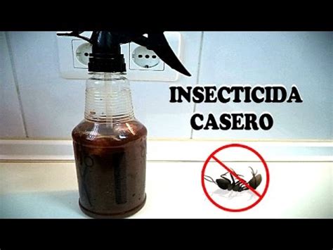 C Mo Eliminar Las Hormigas Insecticida Casero Trucos Tips