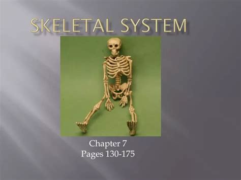Ppt Skeletal System Powerpoint Presentation Free Download Id4803528