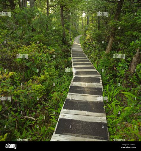 Pacific Rim National Park Vancouver Island Canada Stock Photo - Alamy