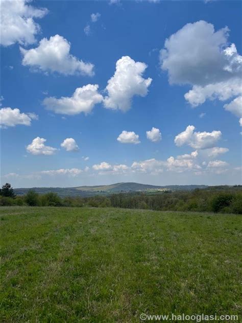 Babe Sopot Halo Oglasi