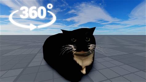 Maxwell The Cat Dances In 360° Youtube