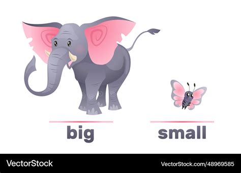 Antonyms and opposites big small elephant Vector Image