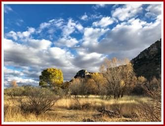 Sue Carnahan Ua Herbarium Aznps Diversity In A Grassland Flora Of