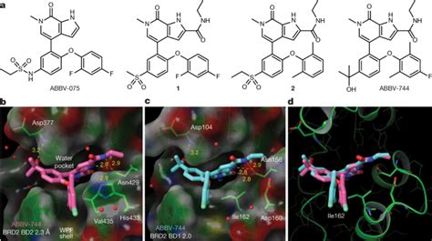 Selective Inhibition Of The Bd2 Bromodomain Of Bet Proteins In Prostate