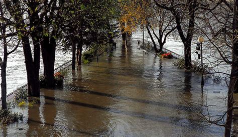 Le Square Du Vert Galant Sous Une Inondation Printani Re