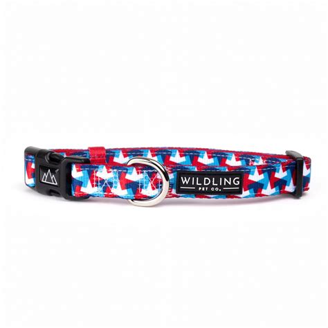 Wildling Pet Co. | Illusion Dog Collar – Peticular