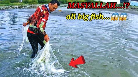 Edian Jala Ikan Di Muara Dapat Gerombolan Ikan Belanak Net Fishing