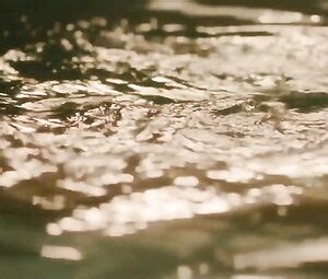 Topless Scenes Top 10 Actresses With Huge Natural Tits Video Best Sexy Scene HeroEro Tube