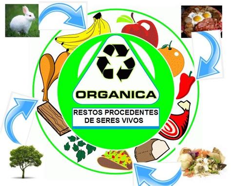 Qué es la Basura Orgánica Tipos Recogida Diferencias