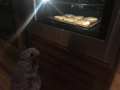 Praise Be! Our Lord and Savior watches the cookies being made! : r/WOSH