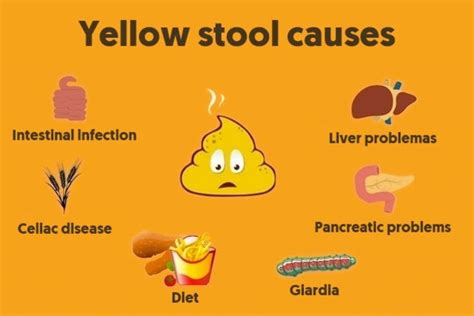 Causes Of Light Colored Floating Stool | Americanwarmoms.org