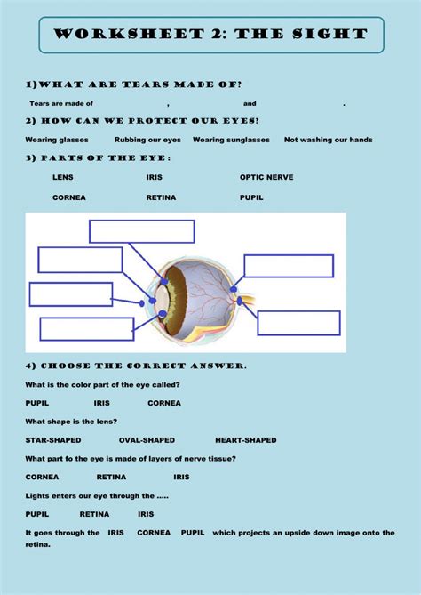 Parts Of The Eye Activity Living And Non Living Things Activity Set