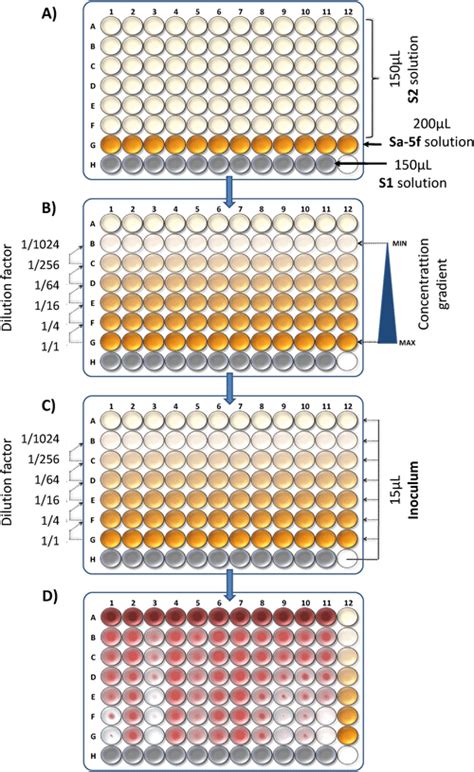 The Procedure Of The Microtiter Plate Preparation A Placing Used Download Scientific Diagram