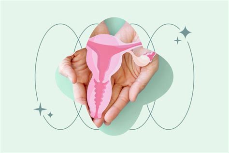 Amh Anti Mullerian Hormone Test What Does It Mean