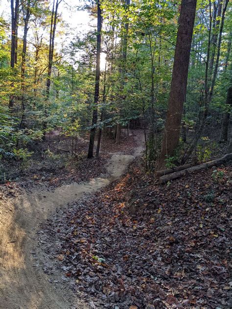 Photo Gallery: New Zacks Fork Gravity Trails - Northwest NC Mountain