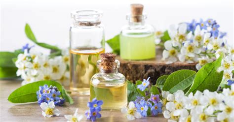 5 Calming Scents That Promote Relaxation - Goodnet
