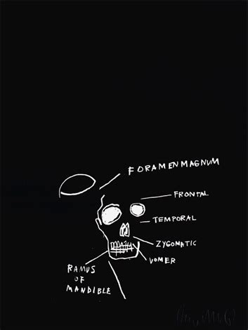 Untitled Skull From The Anatomy Series Von Jean Michel Basquiat Auf Artnet