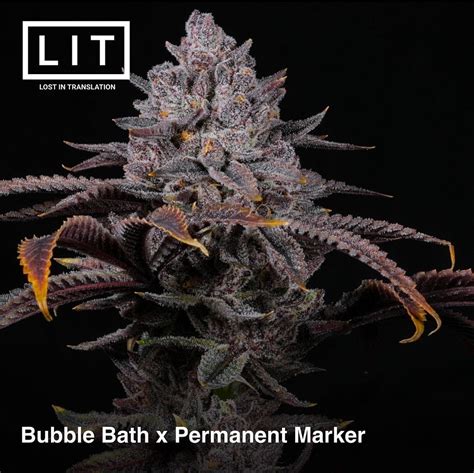 Lit Farms Highlighter Heritage Seedbank