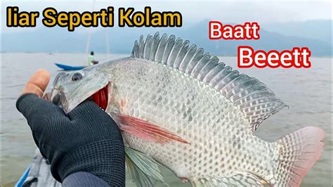 Ikan Ngumpul Di Sini YouTube