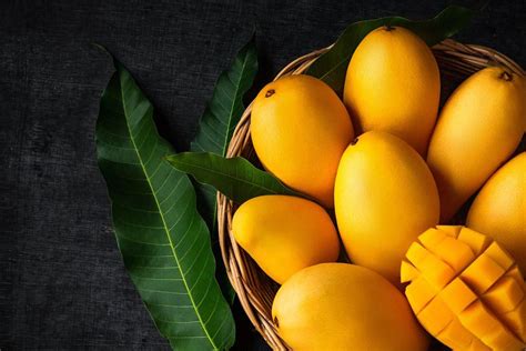 Mango Max Philip аромат — новый аромат для мужчин и женщин 2022