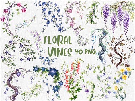 watercolor floral vines clip art floral frame  invitation elements