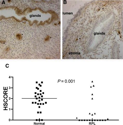 Immunohistochemistry Representative Immunohistochemical Expression Of