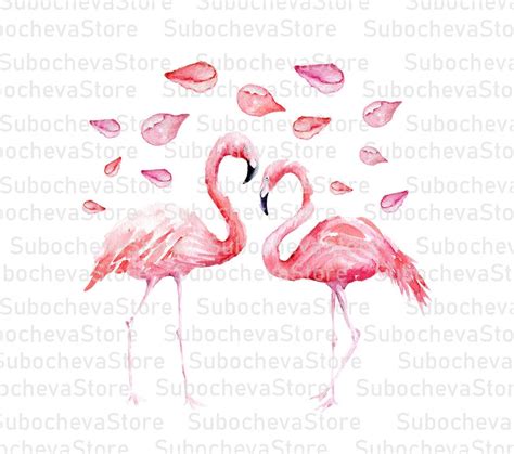 Flamingo Sublimation Flamingo Sublimation Designs Watercolor Etsy