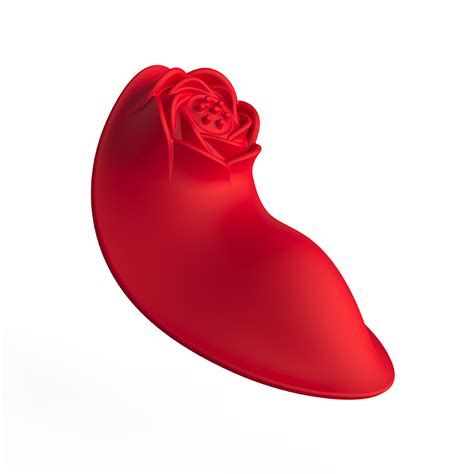 Lb Vibrador De Calcinha Textura De Rosa Libb Sex Toys Importadora Atacado Sex Shop