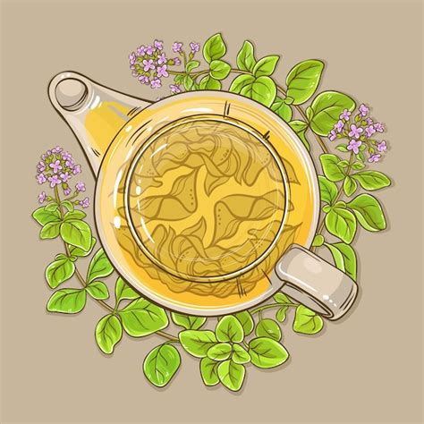 Чай орегано в чайнике | Премиум векторы