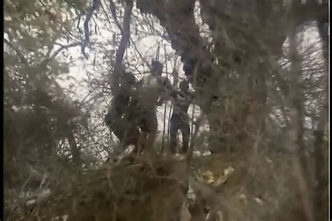 Free Africa Porn Videos Xhamster