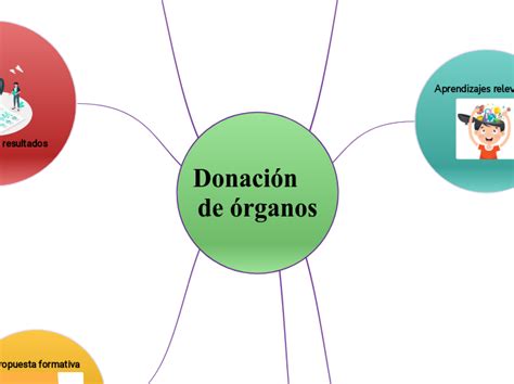 Donaci N De Rganos Mind Map