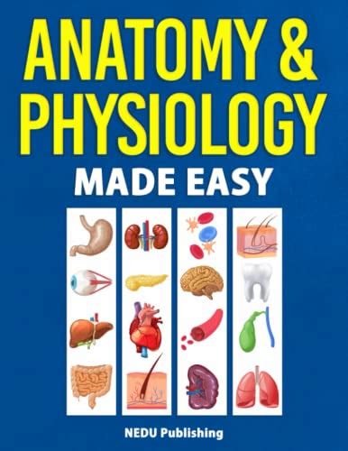 10 Most Searched Anatomy and Physiology Textbooks in 2025 - BookScouter ...