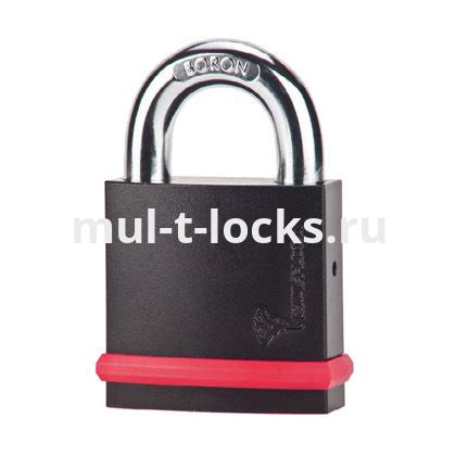 Навесной замок Mul-t-lock NE 10L - MT5+ ⚙ (Мультилок) - купить по ...