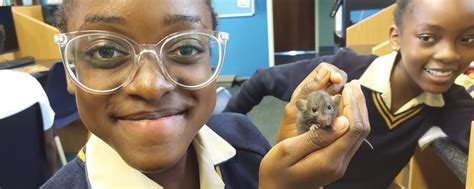 The Benefit of Keeping Rats in the Classroom - Independent Education