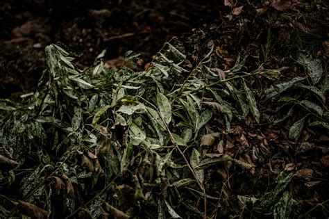 Afvalgids | IVAGO