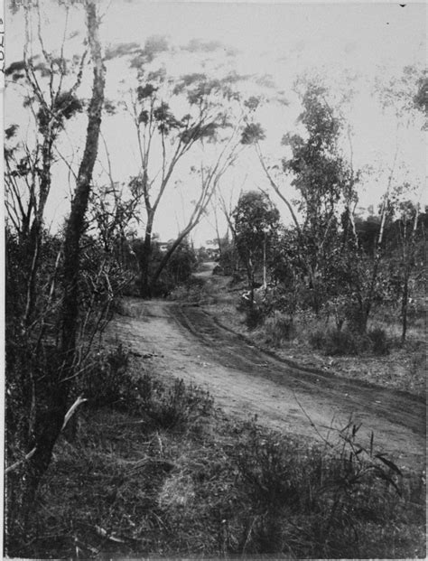 Old Harbour Road Ravensthorpe State Library Of Western Australia