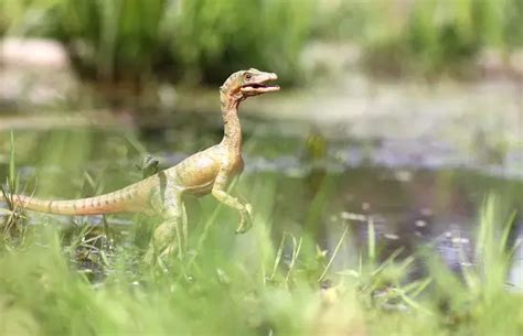 What Is The Weakest Dinosaur Dinosaur Facts For Kids