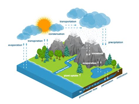 Groundwater Cycle Diagram