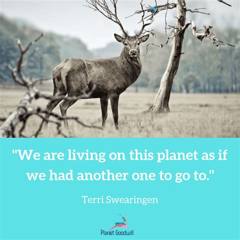 environment quotes   instantly encourage