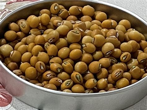 Organically Grown Pigeon Pea Local Seeds