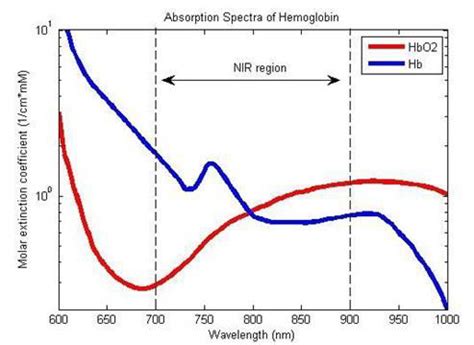 Absorption spectra of HbO2 and Hb. | Download Scientific Diagram