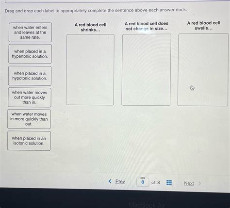 Solved Drag And Drop Each Label To Appropriately Complete The