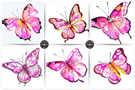 Beautiful Butterfly Collection Graphic By Hassas Arts Creative Fabrica