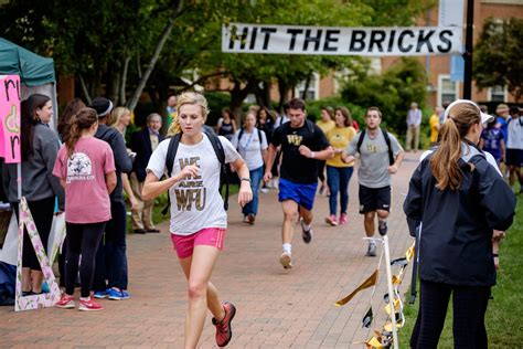 Pro Humanitate Institute Hit The Bricks