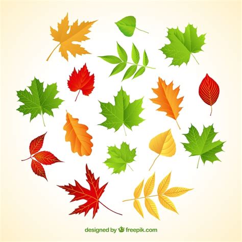 Page 20 | Leaf Map Andorra Images - Free Download on Freepik